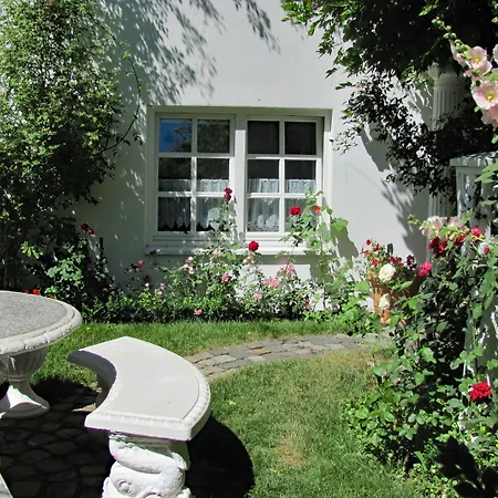 Storchenfaerbe Memmingen